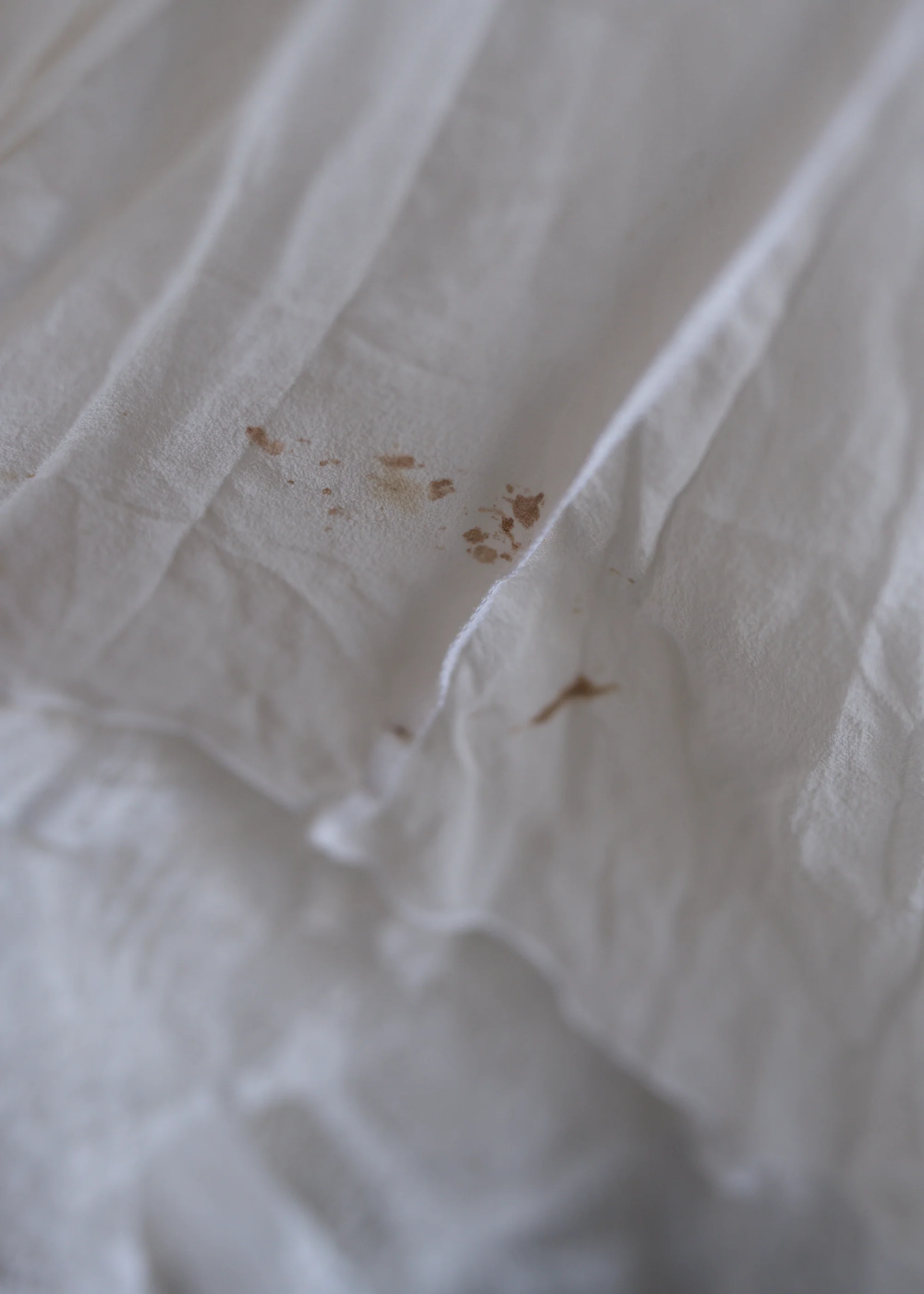 Lilly Sample (size XS) - Image 20