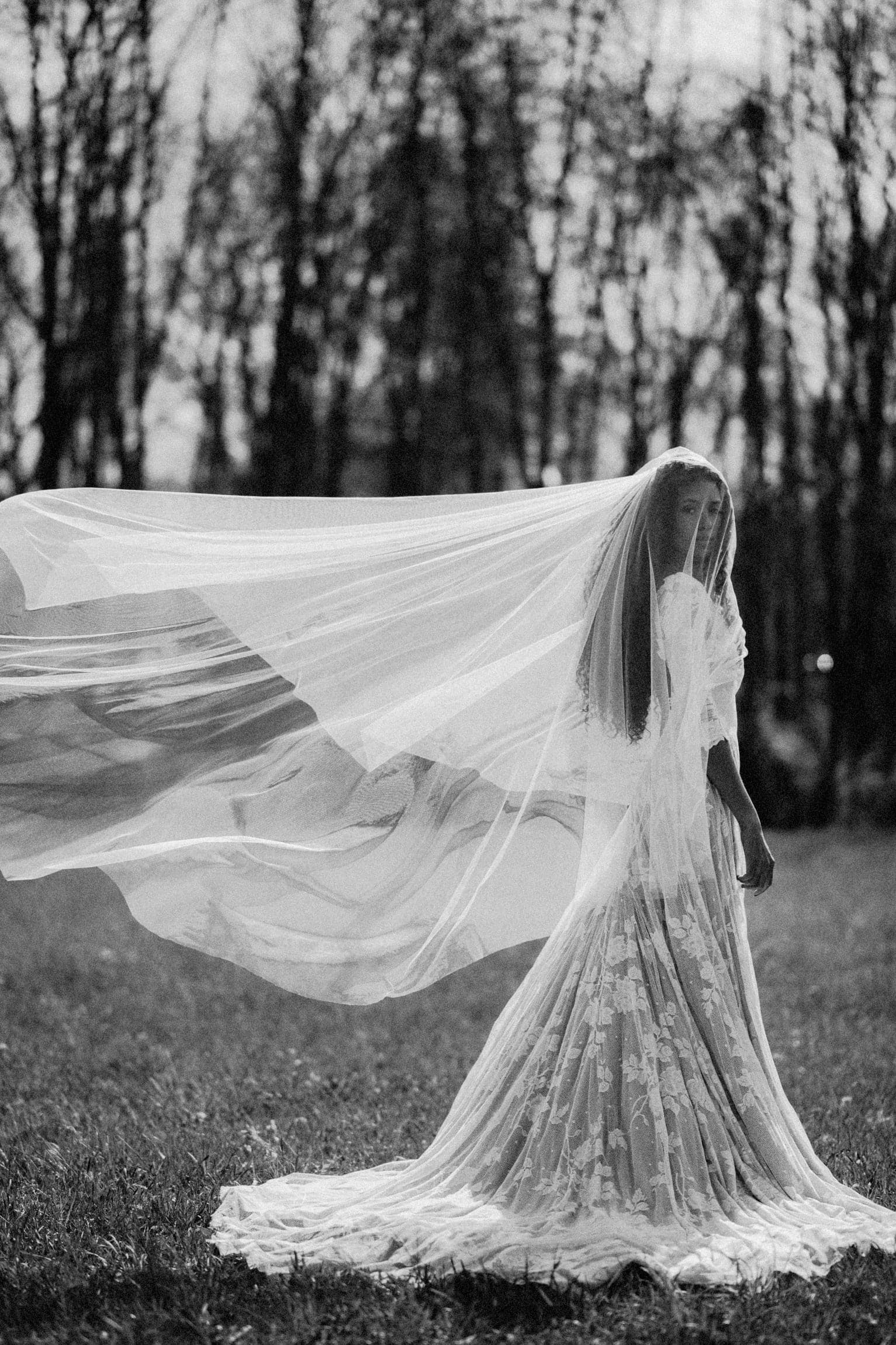 Nova Veil - Image 22