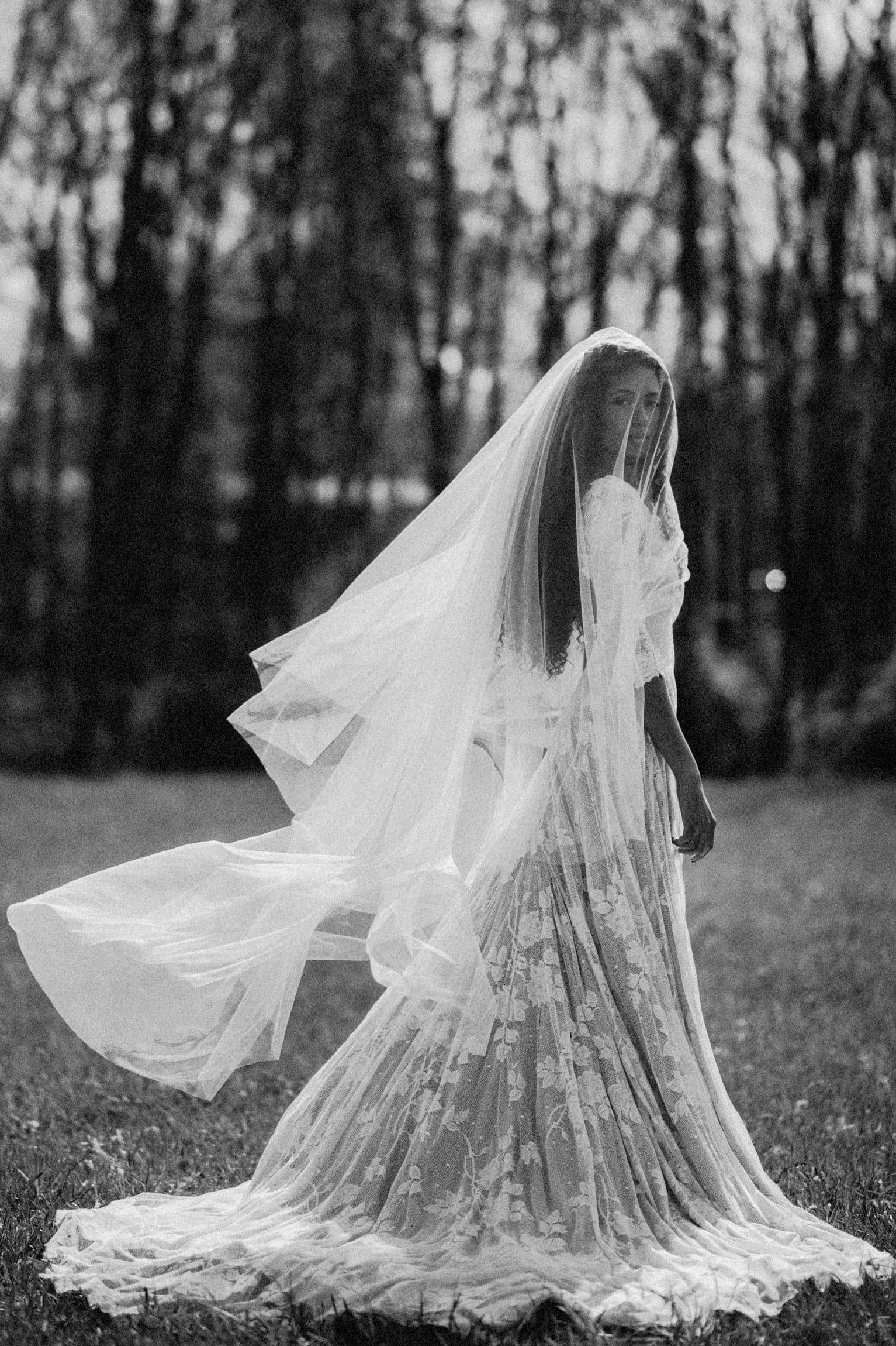 Nova Veil - Image 23